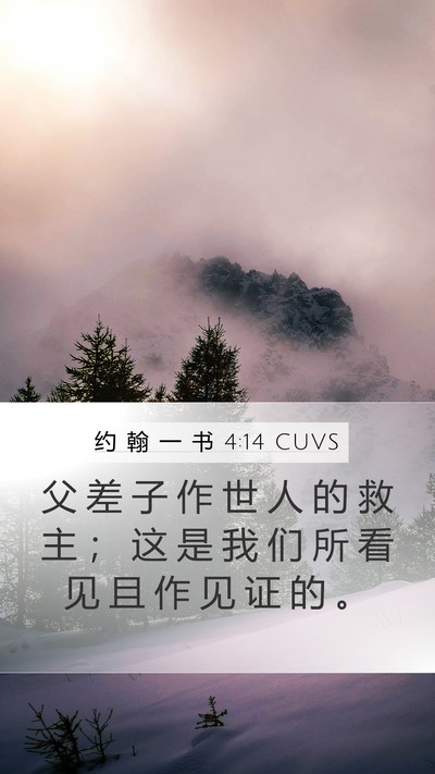 约 翰 一 书 4:14 CUVS Bible Verse Image