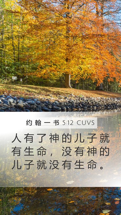 约 翰 一 书 5:12 CUVS Bible Verse Image