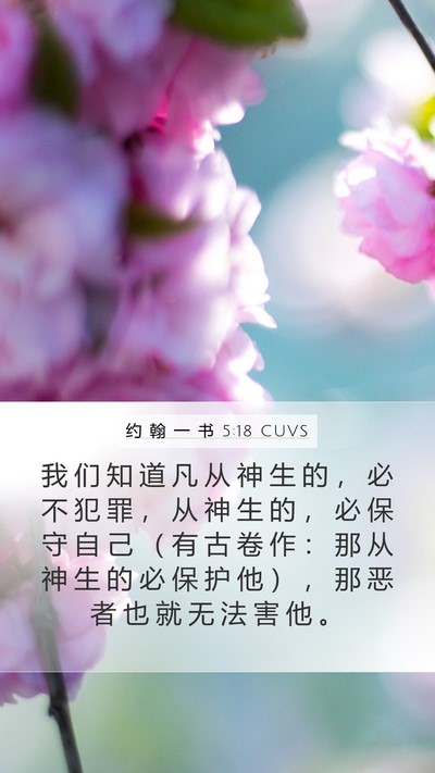 约 翰 一 书 5:18 CUVS Bible Verse Image