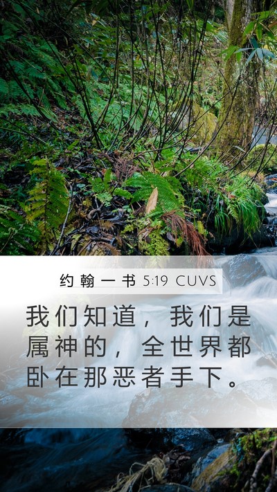 约 翰 一 书 5:19 CUVS Bible Verse Image