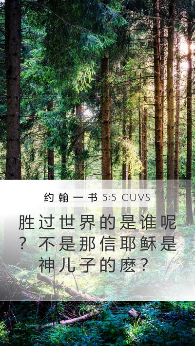 约 翰 一 书 5:5 CUVS Bible Verse Image