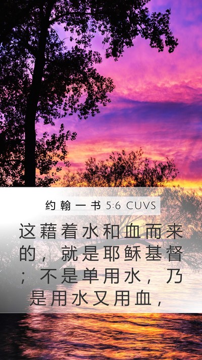 约 翰 一 书 5:6 CUVS Mobile Phone Wallpaper - 这 藉 着 水 和 血 而 来 的 ， 就 是 - Mobile Bible Verse Wallpaper