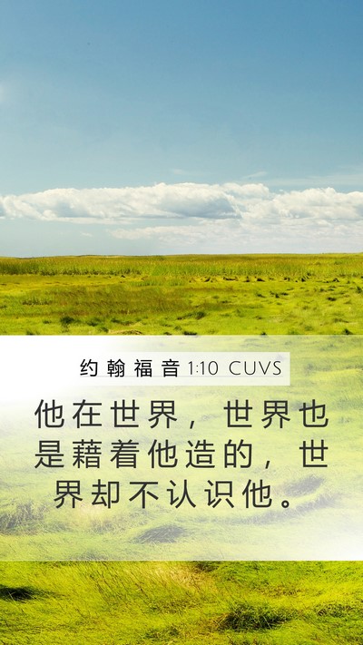 约 翰 福 音 1:10 CUVS Bible Verse Image