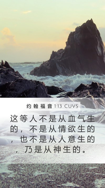 约 翰 福 音 1:13 CUVS Bible Verse Image