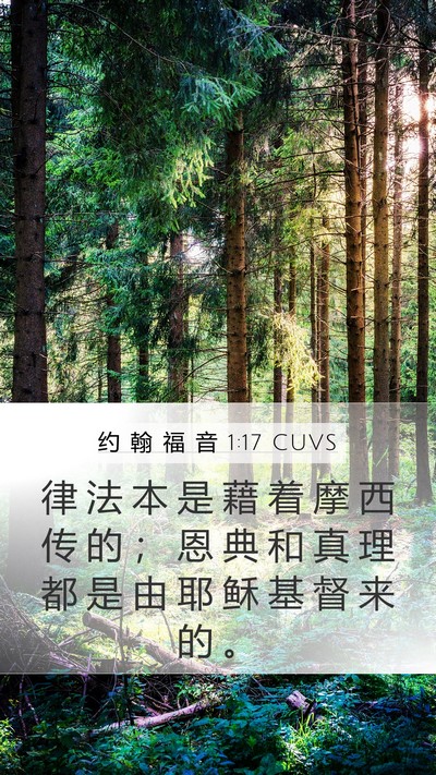 约 翰 福 音 1:17 CUVS Bible Verse Image