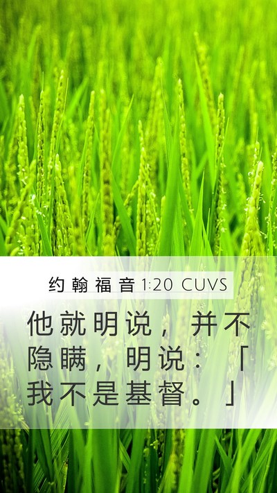 约 翰 福 音 1:20 CUVS Bible Verse Image