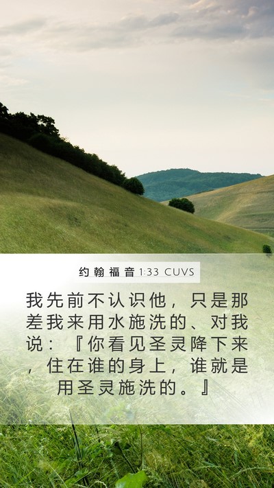 约 翰 福 音 1:33 CUVS Bible Verse Image