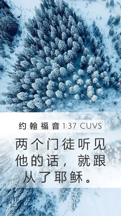 约 翰 福 音 1:37 CUVS Mobile Phone Wallpaper - 两 个 门 徒 听 见 他 的 话 ， 就 跟 - Mobile Bible Verse Wallpaper