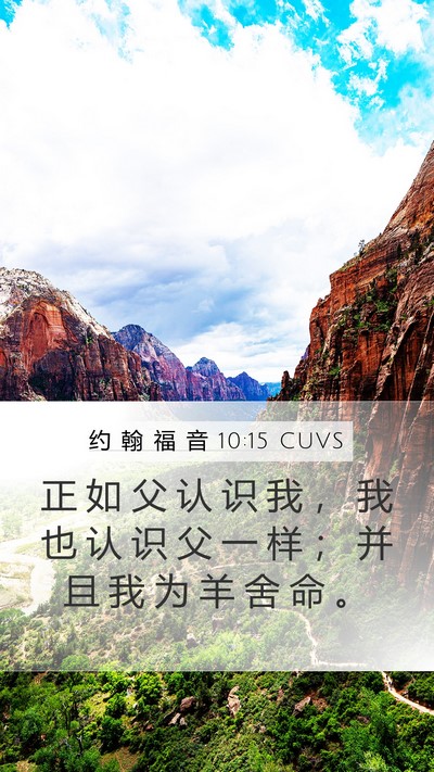 约 翰 福 音 10:15 CUVS Bible Verse Image