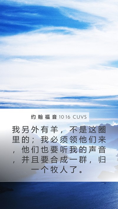 约 翰 福 音 10:16 CUVS Bible Verse Image