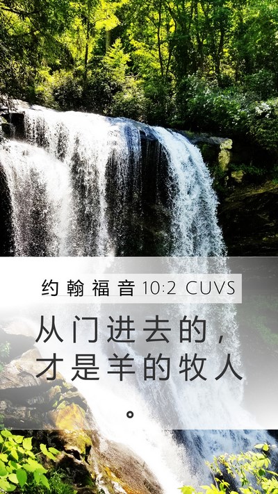 约 翰 福 音 10:2 CUVS Mobile Phone Wallpaper - 从 门 进 去 的 ， 才 是 羊 的 牧 人 - Mobile Bible Verse Wallpaper