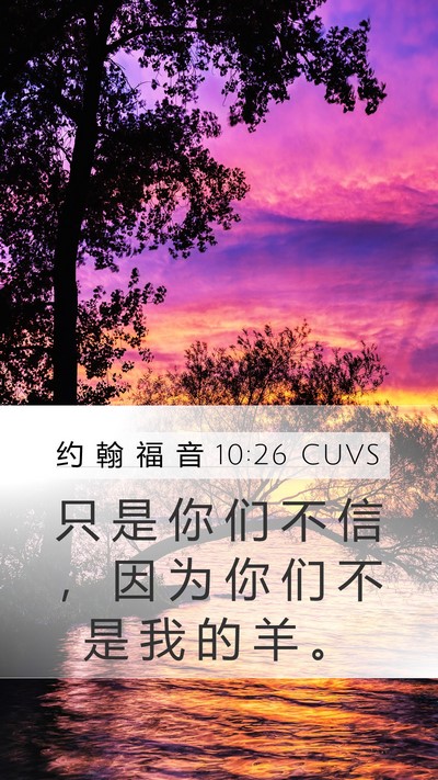约 翰 福 音 10:26 CUVS Bible Verse Image
