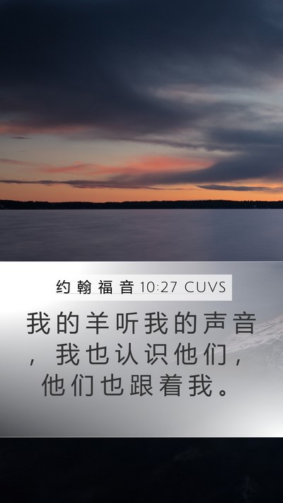 约 翰 福 音 10:27 CUVS Bible Verse Image