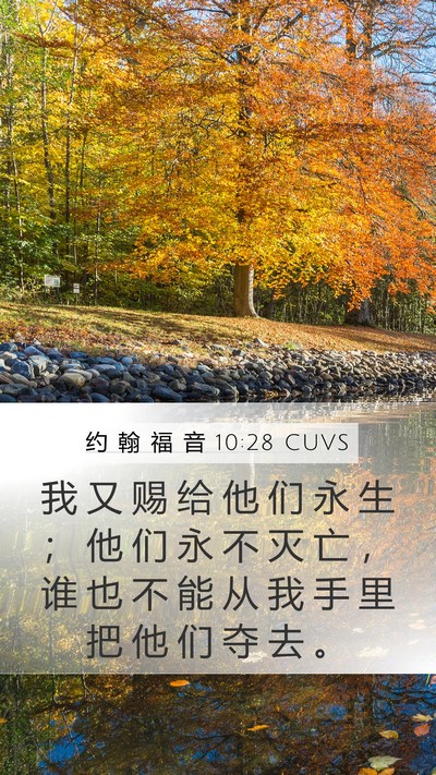 约 翰 福 音 10:28 CUVS Bible Verse Image