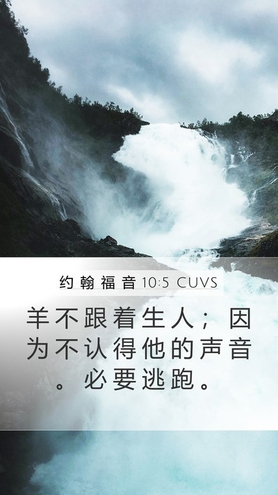 约 翰 福 音 10:5 CUVS Mobile Phone Wallpaper - 羊 不 跟 着 生 人 ； 因 为 不 认 得 - Mobile Bible Verse Wallpaper