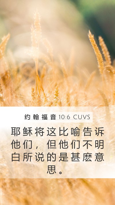 约 翰 福 音 10:6 CUVS Bible Verse Image