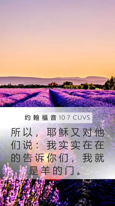 约 翰 福 音 10:7 CUVS Mobile Phone Wallpaper - 所 以 ， 耶 稣 又 对 他 们 说 ： 我 - Mobile Bible Verse Wallpaper