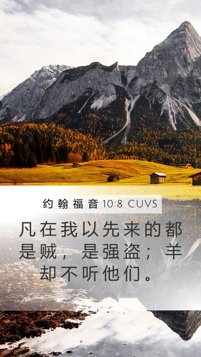 约 翰 福 音 10:8 CUVS Bible Verse Image