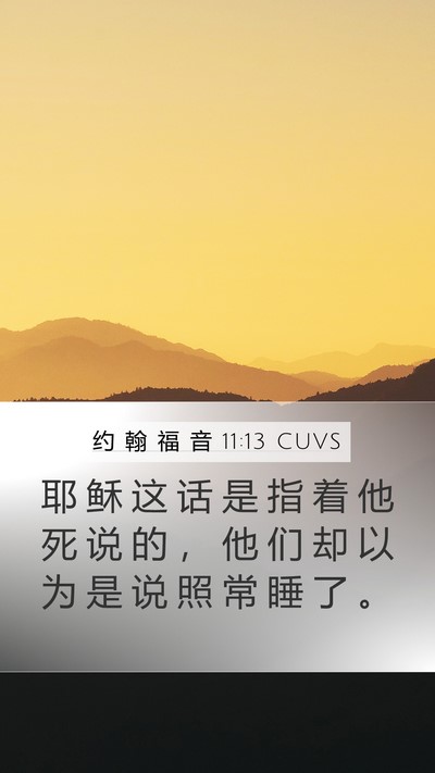 约 翰 福 音 11:13 CUVS Mobile Phone Wallpaper - 耶 稣 这 话 是 指 着 他 死 说 的 ， - Mobile Bible Verse Wallpaper