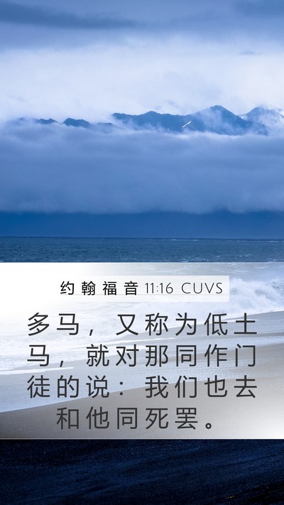 约 翰 福 音 11:16 CUVS Bible Verse Image