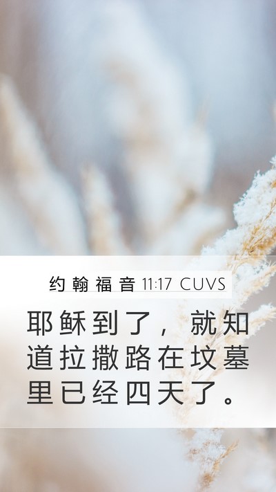 约 翰 福 音 11:17 CUVS Bible Verse Image
