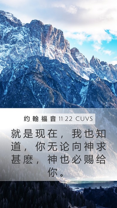约 翰 福 音 11:22 CUVS Bible Verse Image