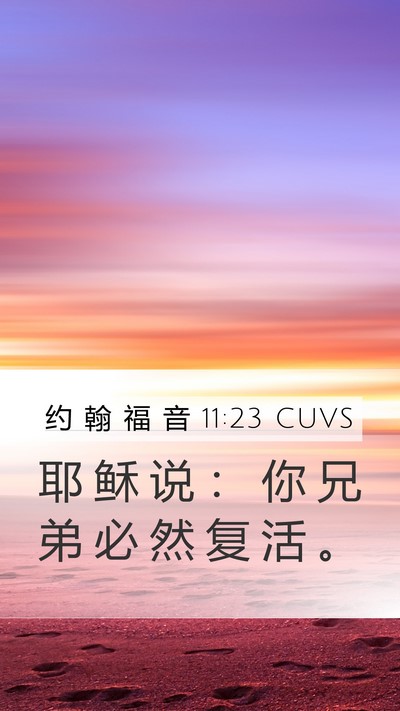 约 翰 福 音 11:23 CUVS Bible Verse Image