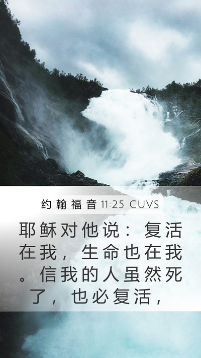 约 翰 福 音 11:25 CUVS Bible Verse Image