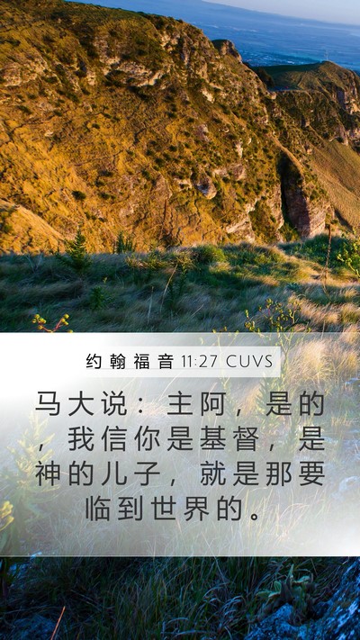 约 翰 福 音 11:27 CUVS Bible Verse Image