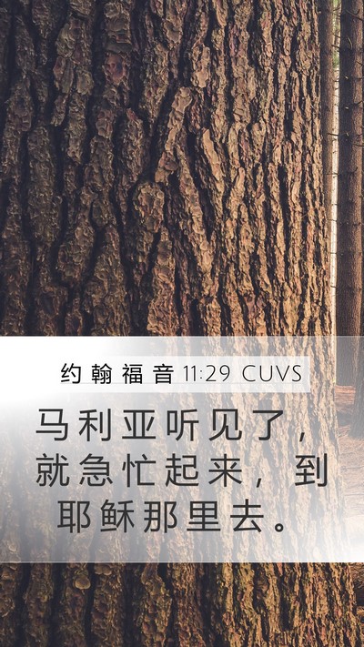 约 翰 福 音 11:29 CUVS Mobile Phone Wallpaper - 马 利 亚 听 见 了 ， 就 急 忙 起 来 - Mobile Bible Verse Wallpaper
