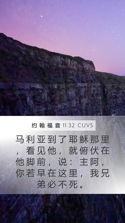 约 翰 福 音 11:32 CUVS Bible Verse Image