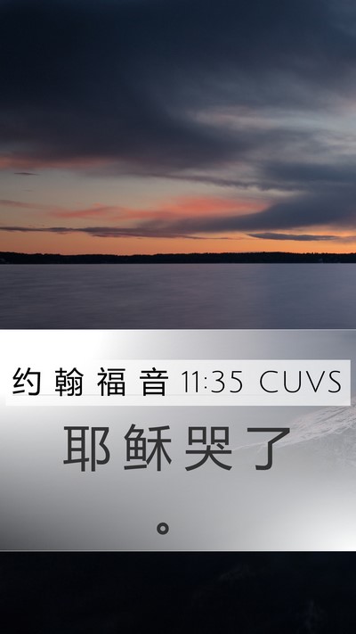 约 翰 福 音 11:35 CUVS Bible Verse Image