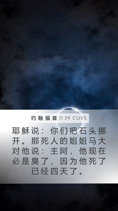 约 翰 福 音 11:39 CUVS Bible Verse Image