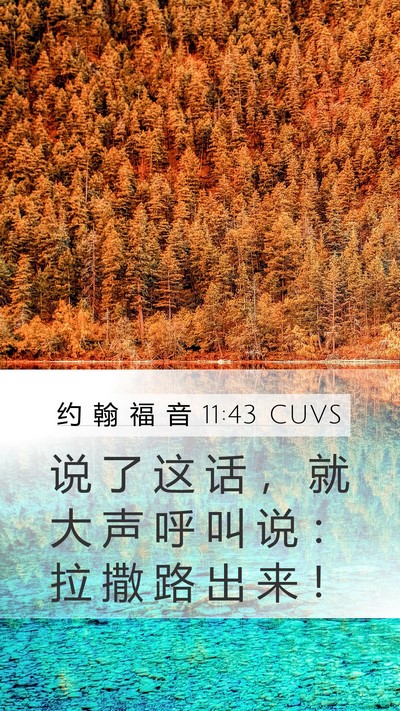 约 翰 福 音 11:43 CUVS Bible Verse Image