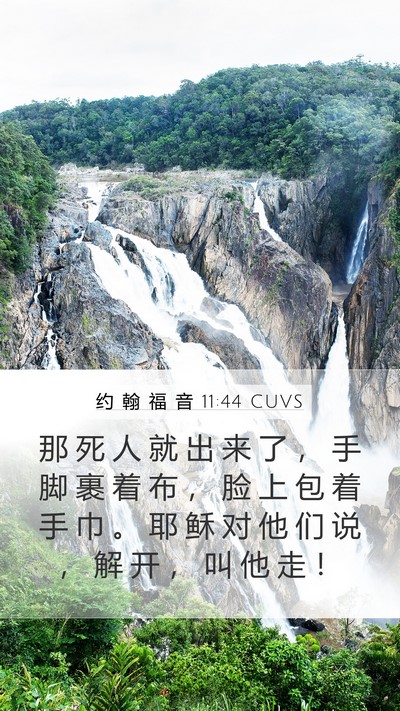 约 翰 福 音 11:44 CUVS Bible Verse Image