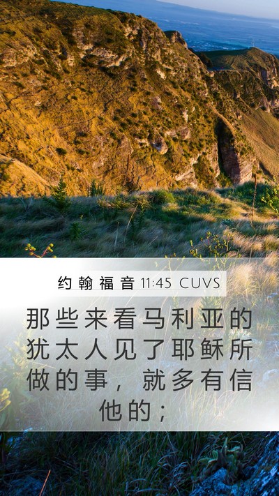 约 翰 福 音 11:45 CUVS Bible Verse Image