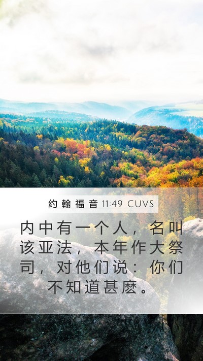 约 翰 福 音 11:49 CUVS Bible Verse Image