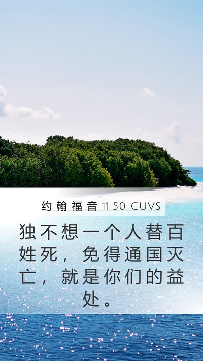 约 翰 福 音 11:50 CUVS Bible Verse Image