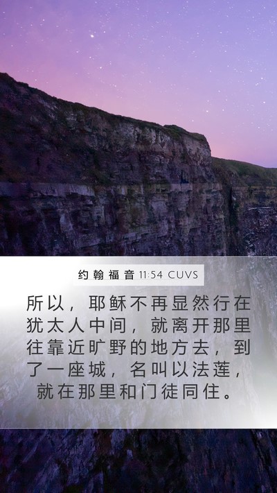 约 翰 福 音 11:54 CUVS Bible Verse Image