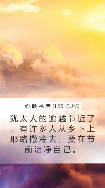 约 翰 福 音 11:55 CUVS Bible Verse Image