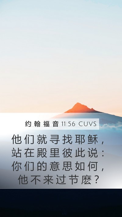 约 翰 福 音 11:56 CUVS Bible Verse Image