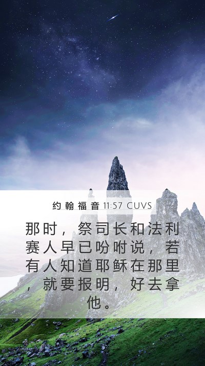 约 翰 福 音 11:57 CUVS Bible Verse Image
