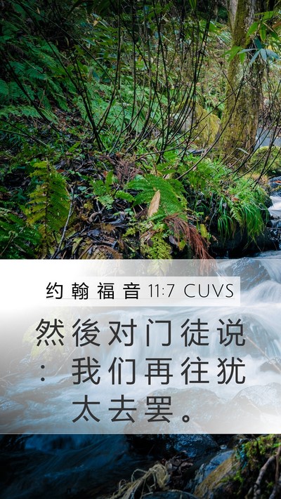 约 翰 福 音 11:7 CUVS Mobile Phone Wallpaper - 然 後 对 门 徒 说 ： 我 们 再 往 犹 - Mobile Bible Verse Wallpaper