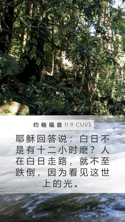 约 翰 福 音 11:9 CUVS Bible Verse Image