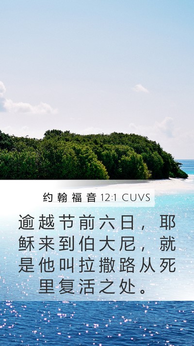 约 翰 福 音 12:1 CUVS Bible Verse Image