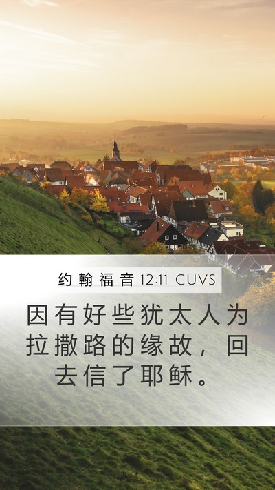 约 翰 福 音 12:11 CUVS Mobile Phone Wallpaper - 因 有 好 些 犹 太 人 为 拉 撒 路 的 - Mobile Bible Verse Wallpaper