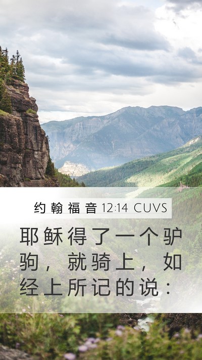 约 翰 福 音 12:14 CUVS Bible Verse Image