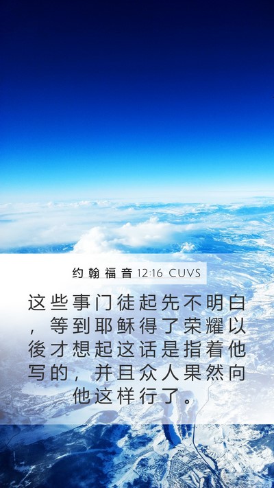 约 翰 福 音 12:16 CUVS Bible Verse Image