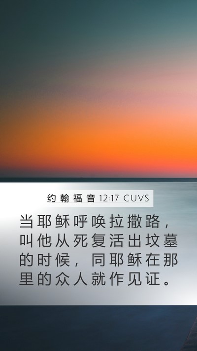 约 翰 福 音 12:17 CUVS Bible Verse Image