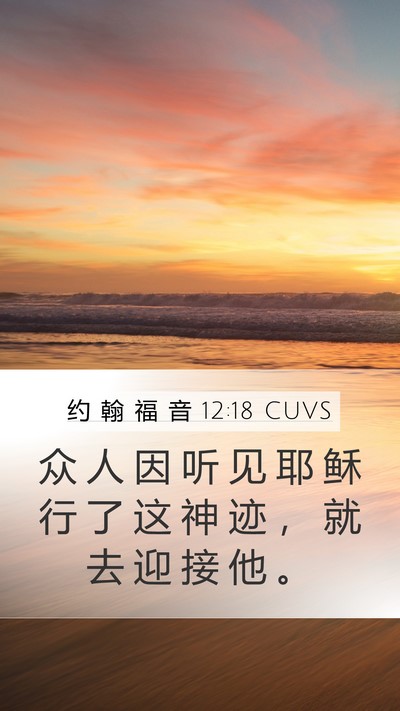约 翰 福 音 12:18 CUVS Bible Verse Image
